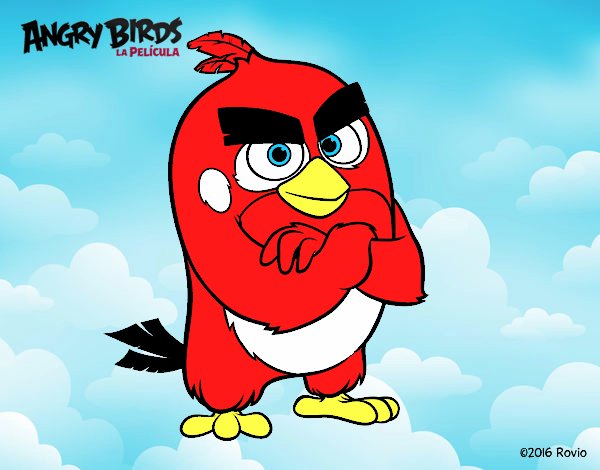 Red de Angry Birds