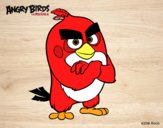 Red de Angry Birds