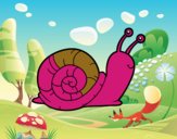 El caracol