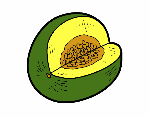 Melón galia