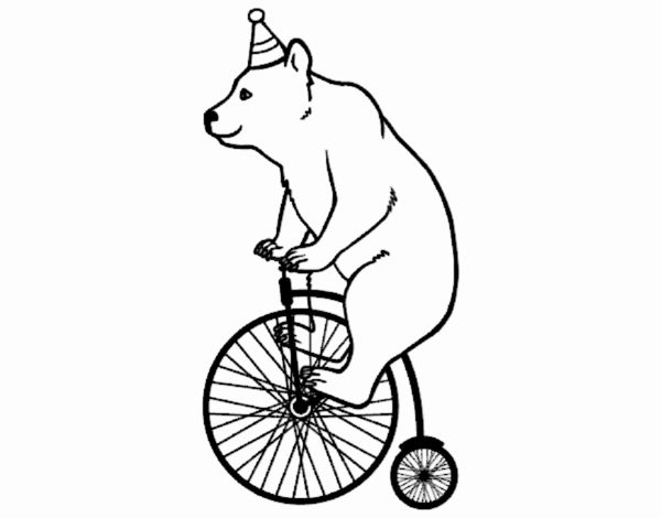 Oso en bicicleta