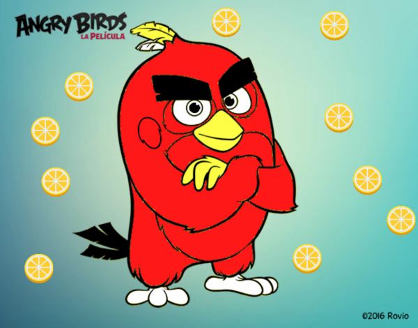 Red de Angry Birds