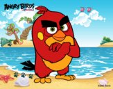 Red de Angry Birds