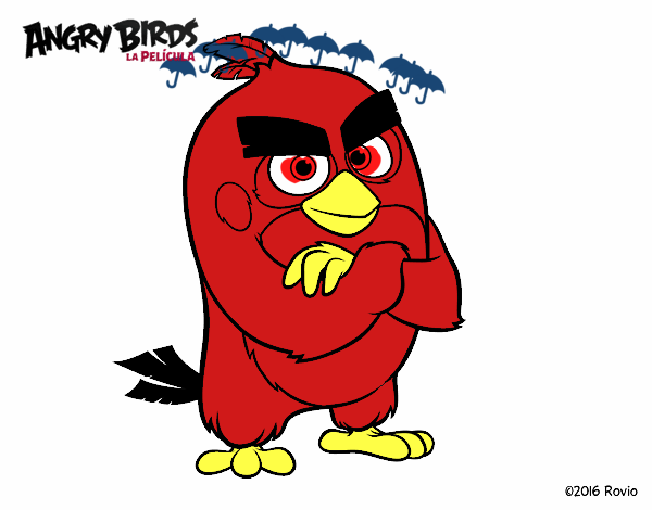 Red de Angry Birds