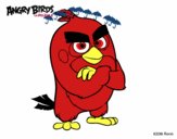 Red de Angry Birds