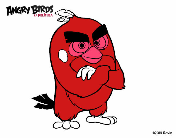 Red de Angry Birds