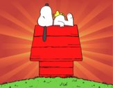 Snoopy durmiendo