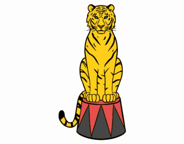 Tigre de circo