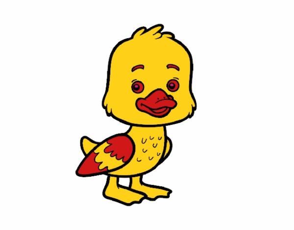 patito