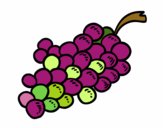 Uvas moradas