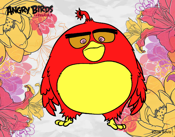 Bomb de Angry Birds