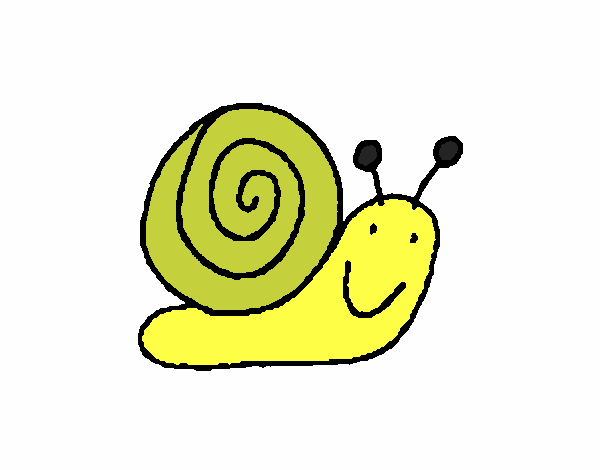 Caracol 4