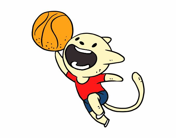 Gato jugando a baloncesto