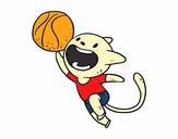 Gato jugando a baloncesto