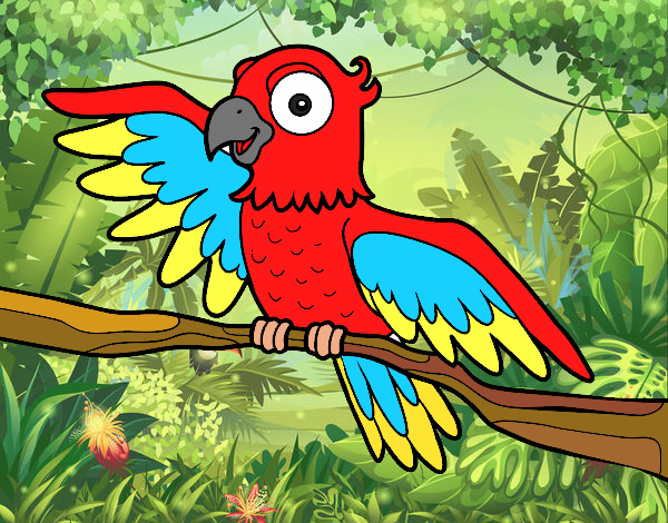 RED PARROT