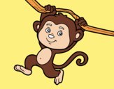 Mono colgado de una rama