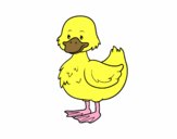 Patito de granja