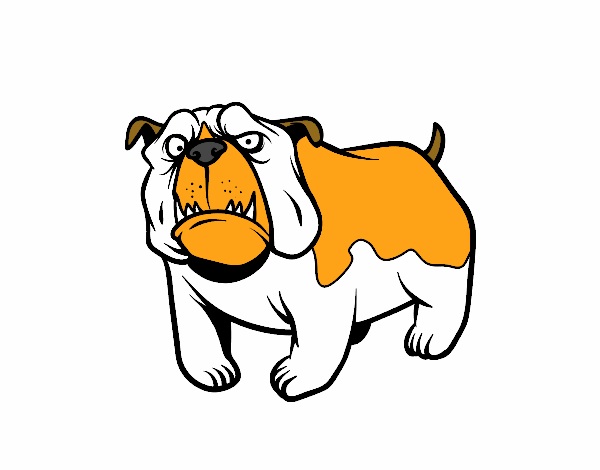 Perro bulldog inglés