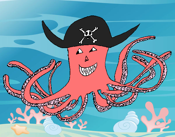 Pulpo pirata