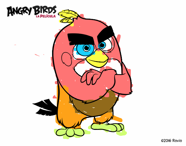 Red de Angry Birds