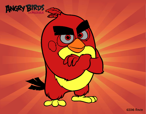 angri bird rojo es guay