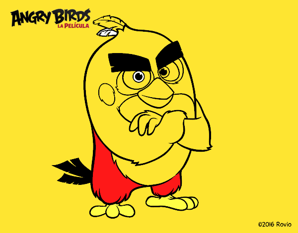 Red de Angry Birds