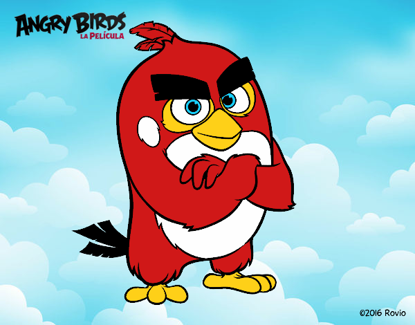 Red de Angry Birds