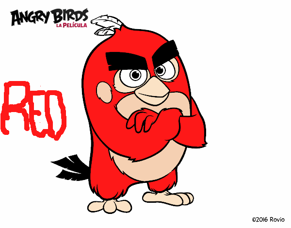 Red de Angry Birds