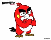 Red de Angry Birds