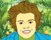 Retrato de Harry Styles