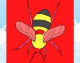 Abeja 1