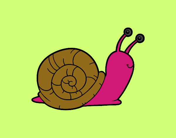 El caracol