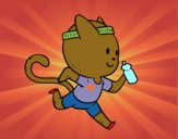 Gato runner