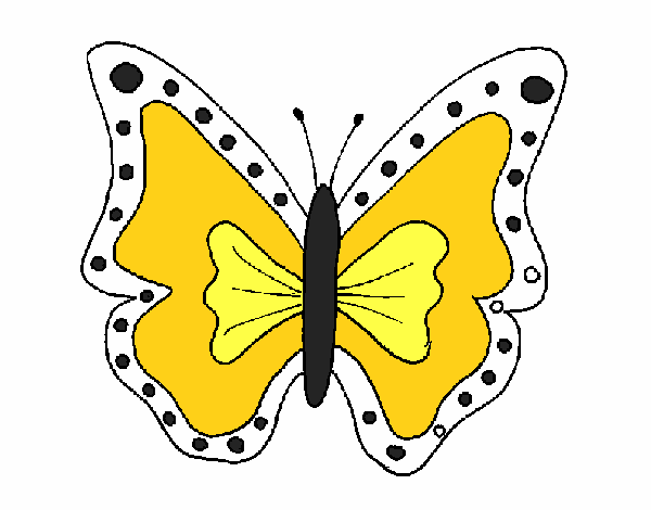 Mariposa 4a