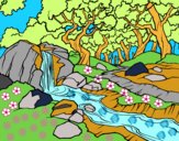 Dibujo Paisaje de bosque con un río pintado por stepha19