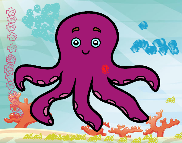 Pulpo infantil