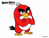 Red de Angry Birds