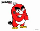 Red de Angry Birds