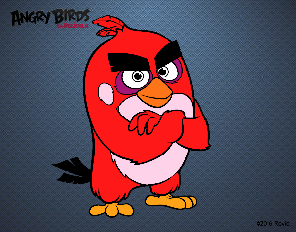 Red de Angry Birds