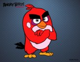 Red de Angry Birds