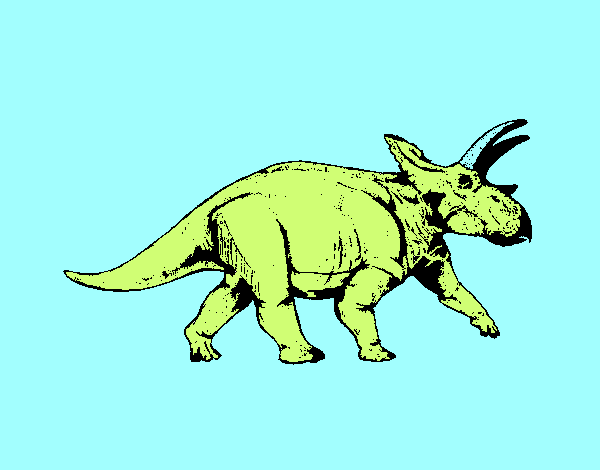 Triceratops 1