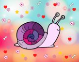 Un caracol