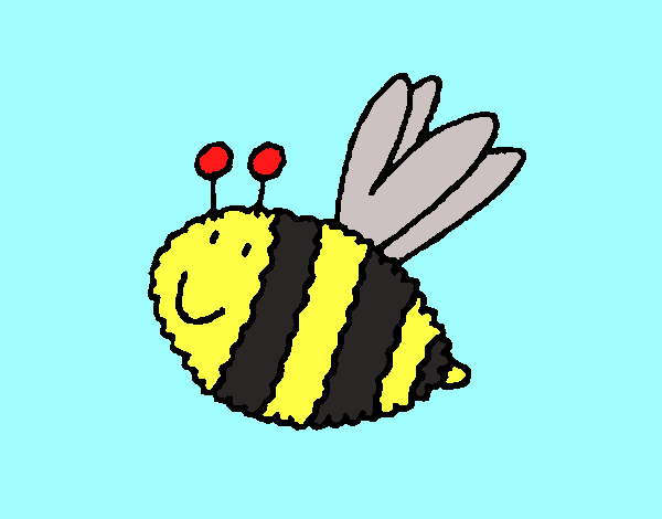 Abeja 4