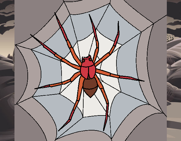 Araña