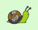 El caracol