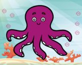 Pulpo infantil