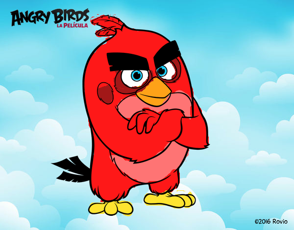 Red de Angry Birds