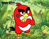 Red de Angry Birds