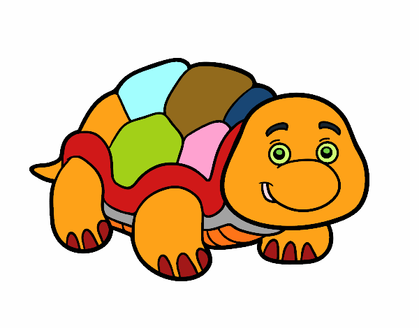 tortuga de colores