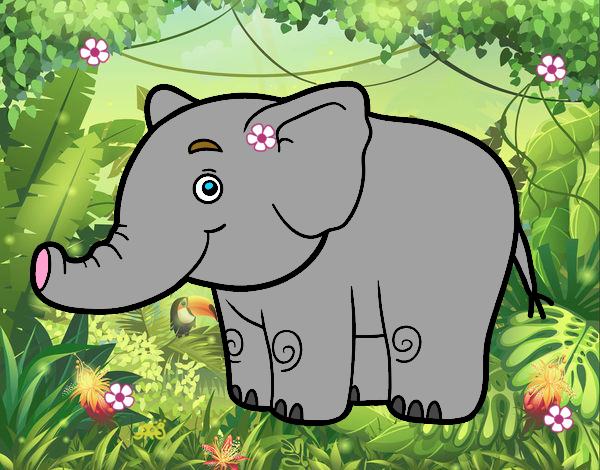 elefante